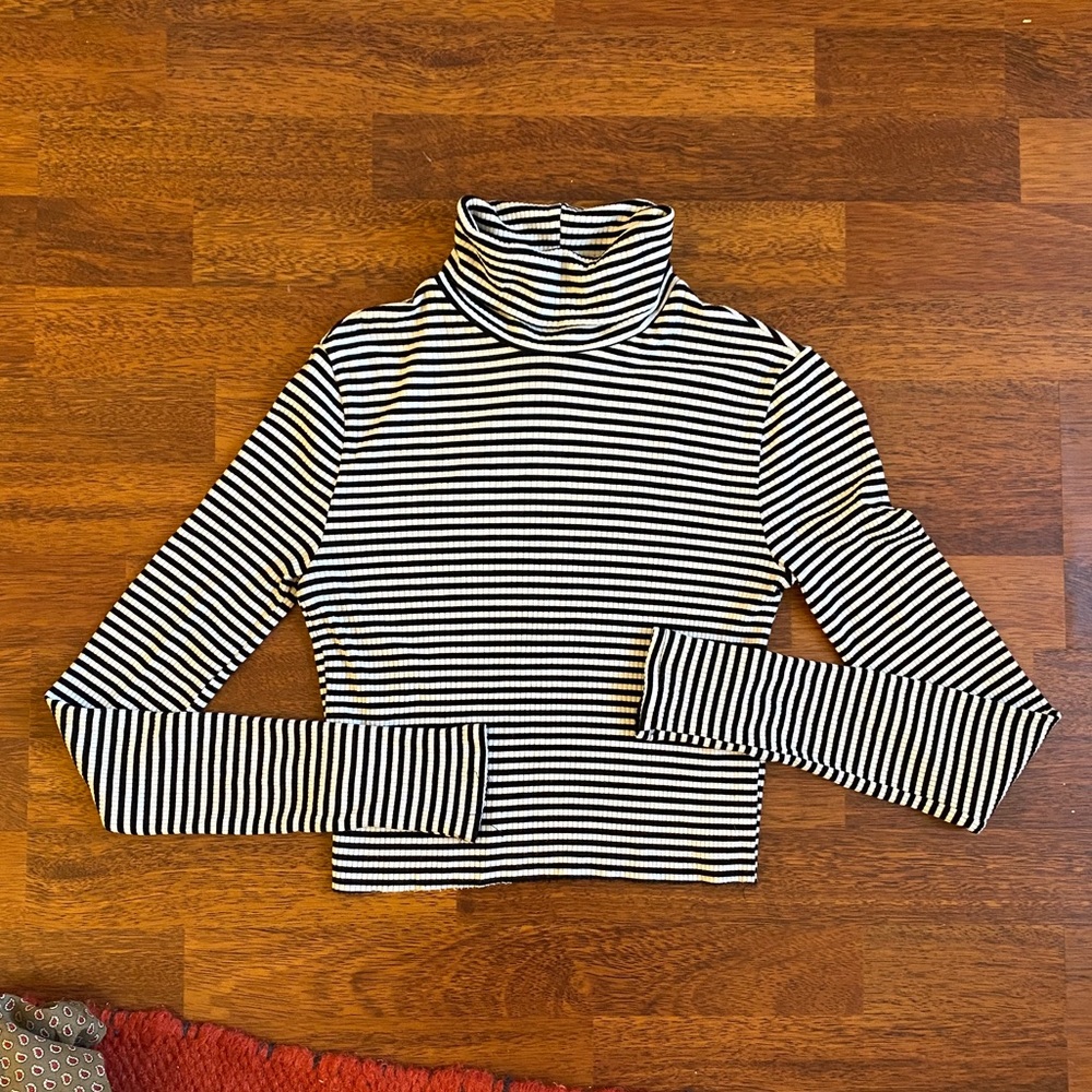 Reformation Striped Crop Top turtleneck